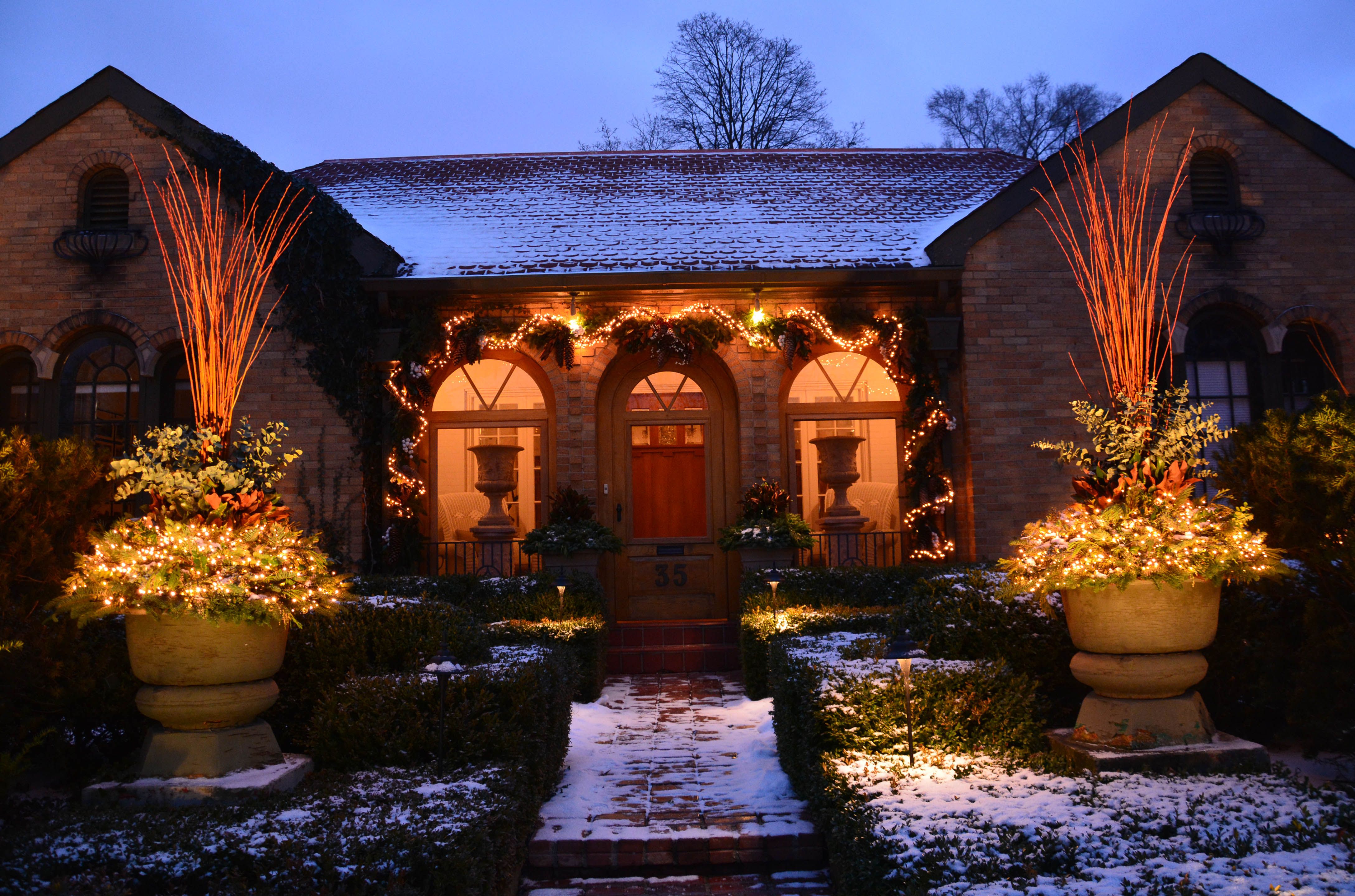 Warm white lights on evergreen trees